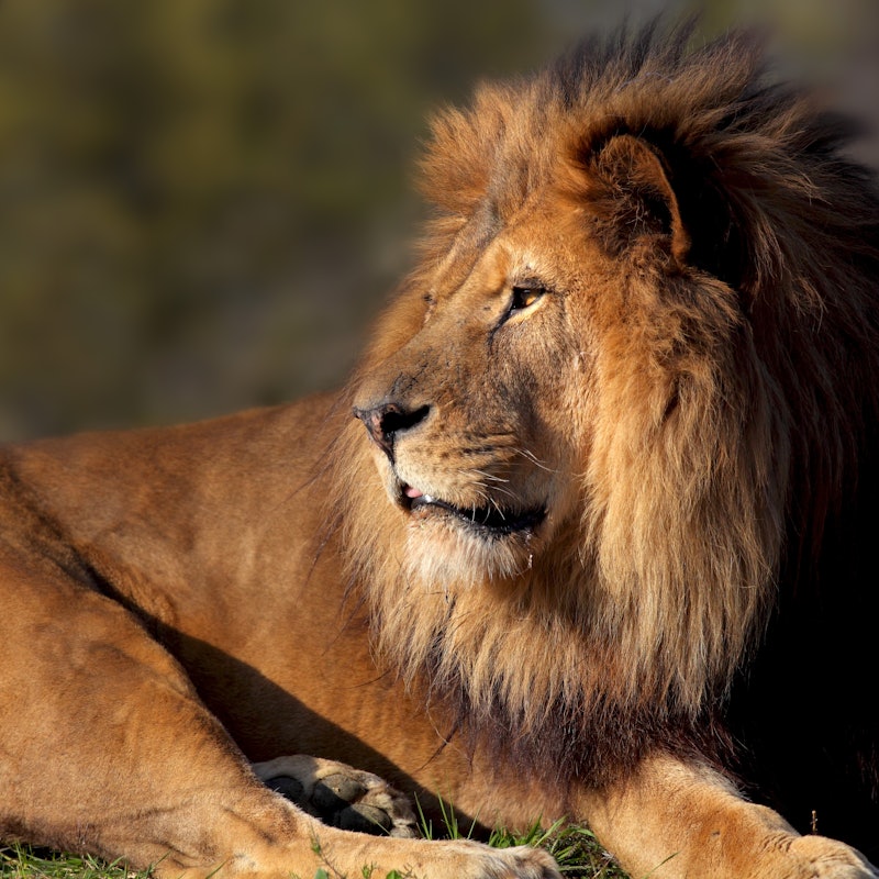Visite Zoo de Vincennes mère fille