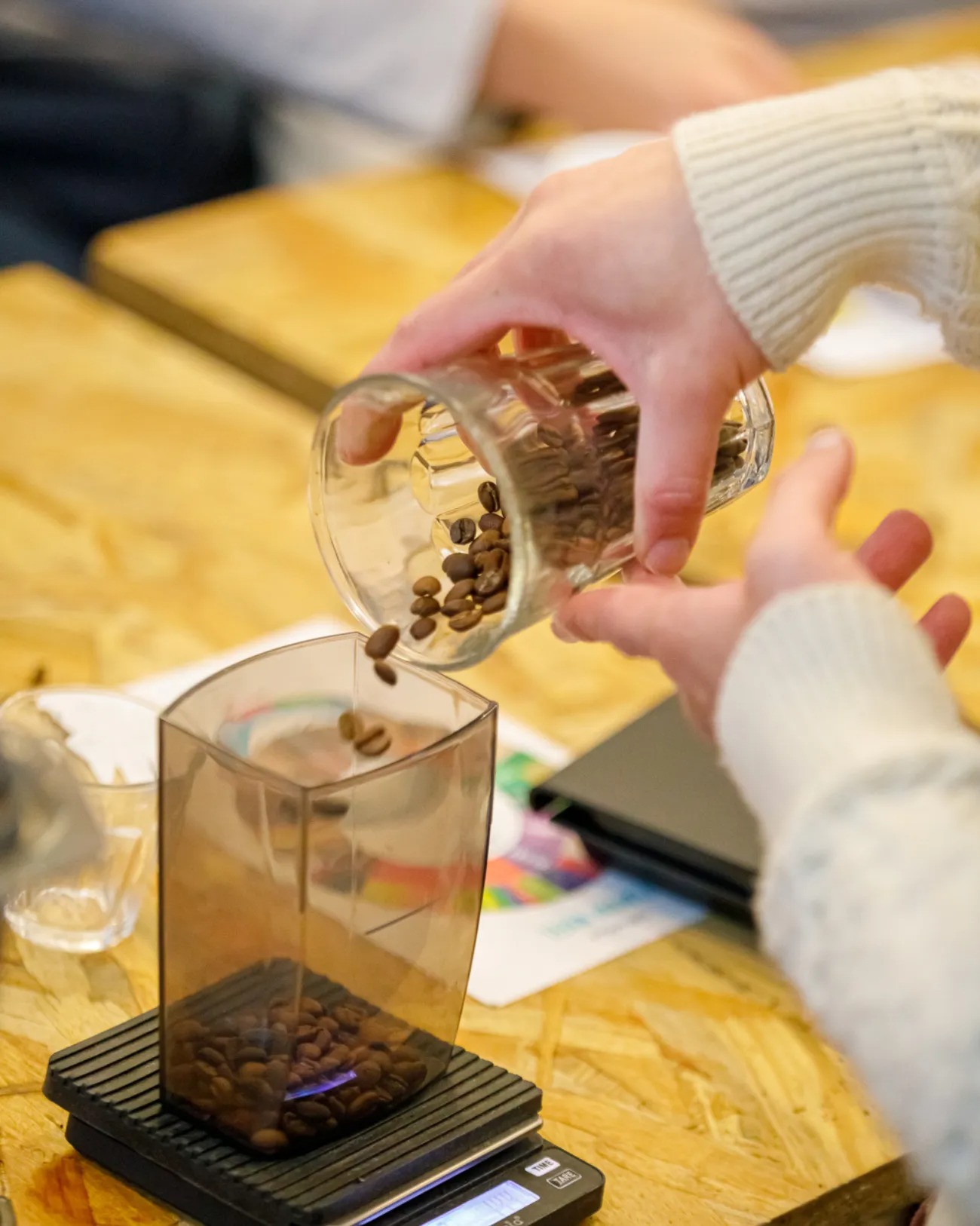 Atelier café de spécialité